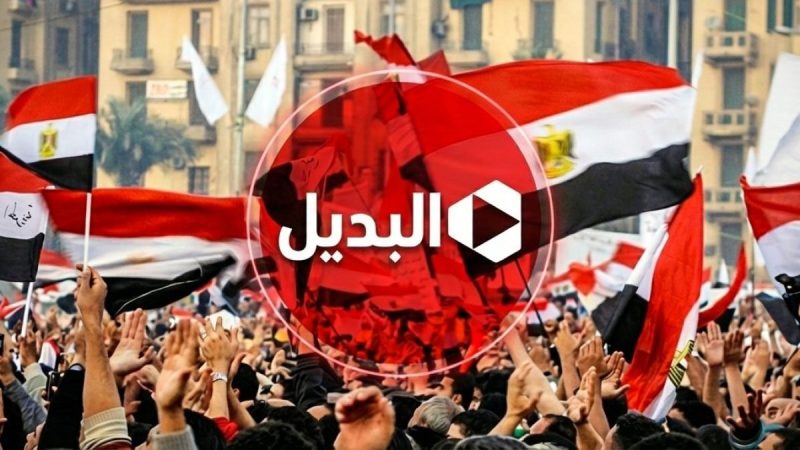 كيف تواصل الحشرات مع بعضها البعض بدون صوت